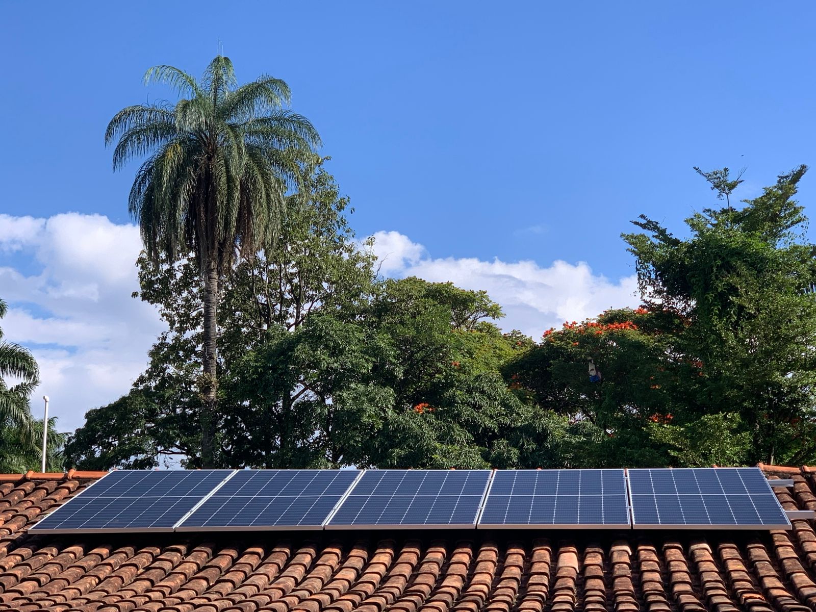 Projeto Solar